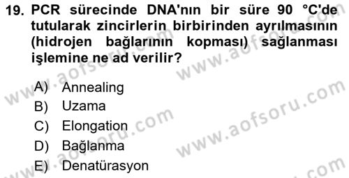 Temel Veteriner Genetik Dersi 2023 - 2024 Yılı Yaz Okulu Sınav Soruları 19. Soru