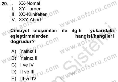 Temel Veteriner Genetik Dersi 2023 - 2024 Yılı Yaz Okulu Sınav Soruları 20. Soru