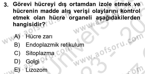 Temel Veteriner Genetik Dersi 2023 - 2024 Yılı Yaz Okulu Sınav Soruları 3. Soru