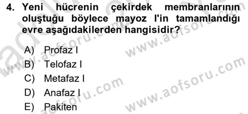 Temel Veteriner Genetik Dersi 2023 - 2024 Yılı Yaz Okulu Sınav Soruları 4. Soru