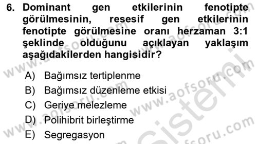 Temel Veteriner Genetik Dersi 2023 - 2024 Yılı Yaz Okulu Sınav Soruları 6. Soru