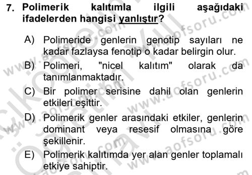 Temel Veteriner Genetik Dersi 2023 - 2024 Yılı Yaz Okulu Sınav Soruları 7. Soru