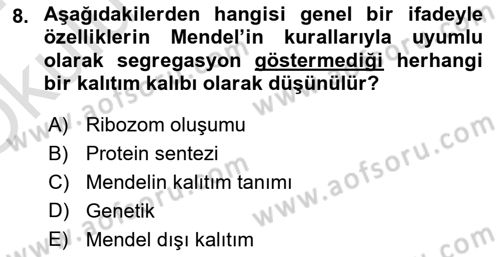 Temel Veteriner Genetik Dersi 2023 - 2024 Yılı Yaz Okulu Sınav Soruları 8. Soru