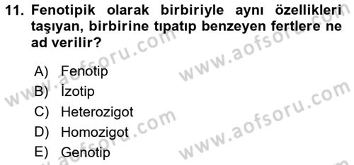 Temel Veteriner Genetik Dersi 2024 - 2025 Yılı (Vize) Ara Sınav Soruları 11. Soru