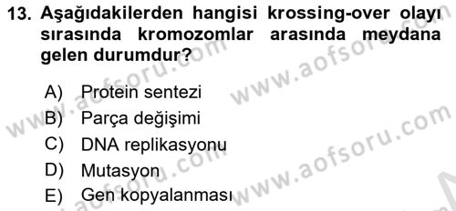 Temel Veteriner Genetik Dersi Ara Sınavı Deneme Sınav Soruları 13. Soru