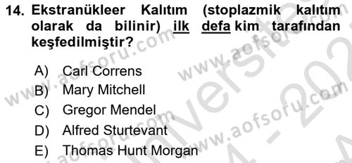 Temel Veteriner Genetik Dersi 2024 - 2025 Yılı (Vize) Ara Sınav Soruları 14. Soru