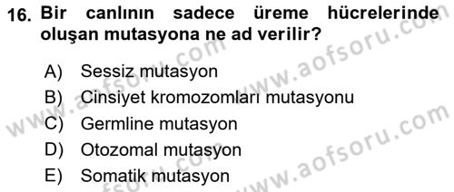 Temel Veteriner Genetik Dersi Ara Sınavı Deneme Sınav Soruları 16. Soru