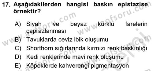 Temel Veteriner Genetik Dersi Ara Sınavı Deneme Sınav Soruları 17. Soru