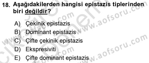 Temel Veteriner Genetik Dersi Ara Sınavı Deneme Sınav Soruları 18. Soru