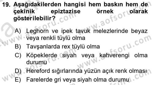 Temel Veteriner Genetik Dersi 2024 - 2025 Yılı (Vize) Ara Sınav Soruları 19. Soru