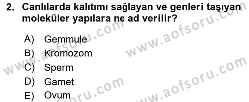 Temel Veteriner Genetik Dersi Ara Sınavı Deneme Sınav Soruları 2. Soru