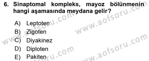 Temel Veteriner Genetik Dersi 2024 - 2025 Yılı (Vize) Ara Sınav Soruları 6. Soru