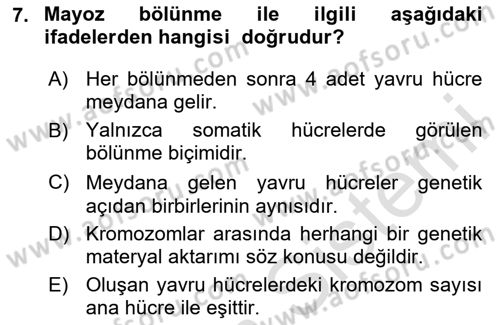 Temel Veteriner Genetik Dersi 2024 - 2025 Yılı (Vize) Ara Sınav Soruları 7. Soru