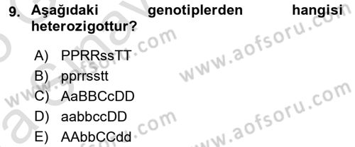 Temel Veteriner Genetik Dersi Ara Sınavı Deneme Sınav Soruları 9. Soru