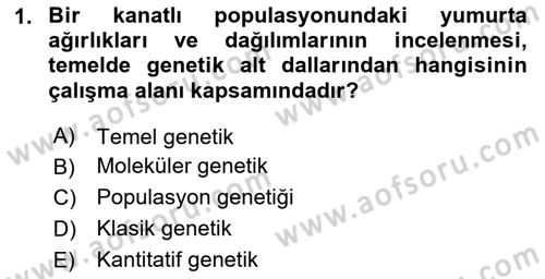 Temel Veteriner Genetik Dersi 2024 - 2025 Yılı (Final) Dönem Sonu Sınav Soruları 1. Soru