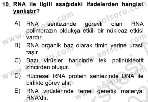 Temel Veteriner Genetik Dersi 2024 - 2025 Yılı (Final) Dönem Sonu Sınav Soruları 10. Soru