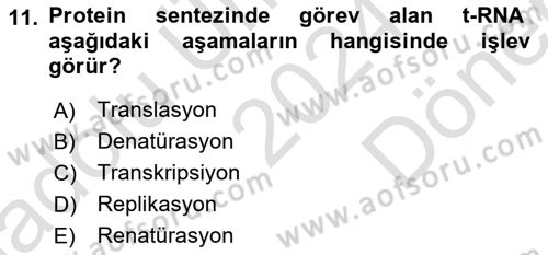 Temel Veteriner Genetik Dersi 2024 - 2025 Yılı (Final) Dönem Sonu Sınav Soruları 11. Soru
