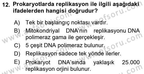 Temel Veteriner Genetik Dersi 2024 - 2025 Yılı (Final) Dönem Sonu Sınav Soruları 12. Soru