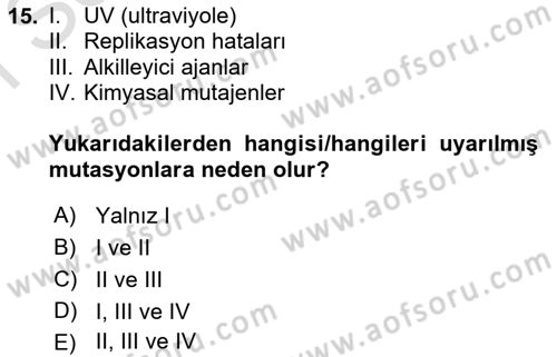 Temel Veteriner Genetik Dersi 2024 - 2025 Yılı (Final) Dönem Sonu Sınav Soruları 15. Soru