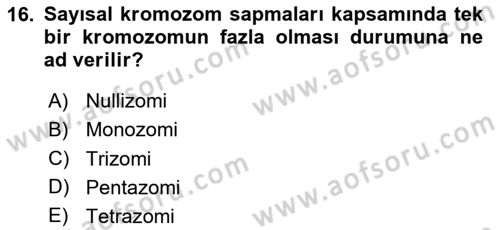 Temel Veteriner Genetik Dersi 2024 - 2025 Yılı (Final) Dönem Sonu Sınav Soruları 16. Soru