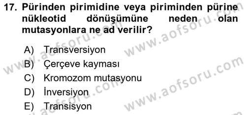 Temel Veteriner Genetik Dersi 2024 - 2025 Yılı (Final) Dönem Sonu Sınav Soruları 17. Soru