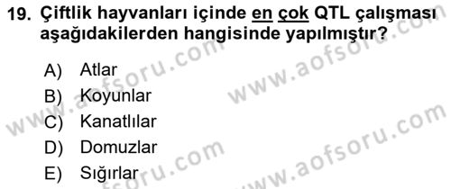 Temel Veteriner Genetik Dersi 2024 - 2025 Yılı (Final) Dönem Sonu Sınav Soruları 19. Soru