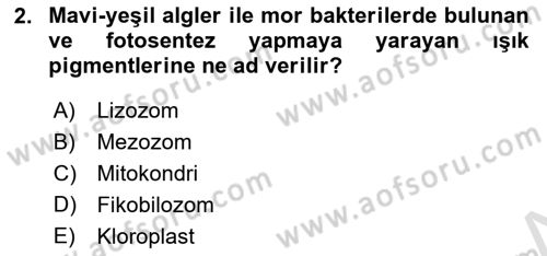 Temel Veteriner Genetik Dersi 2024 - 2025 Yılı (Final) Dönem Sonu Sınav Soruları 2. Soru