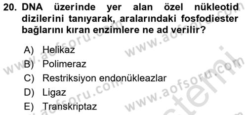 Temel Veteriner Genetik Dersi 2024 - 2025 Yılı (Final) Dönem Sonu Sınav Soruları 20. Soru