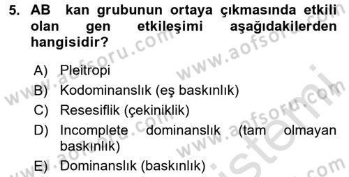 Temel Veteriner Genetik Dersi 2024 - 2025 Yılı (Final) Dönem Sonu Sınav Soruları 5. Soru