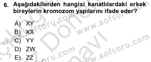 Temel Veteriner Genetik Dersi 2024 - 2025 Yılı (Final) Dönem Sonu Sınav Soruları 6. Soru