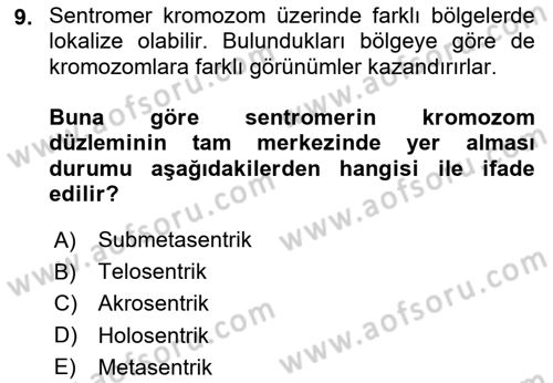 Temel Veteriner Genetik Dersi 2024 - 2025 Yılı (Final) Dönem Sonu Sınav Soruları 9. Soru