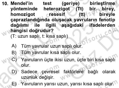 Temel Veteriner Genetik Dersi 2025 - 2026 Yılı (Vize) Ara Sınav Soruları 10. Soru