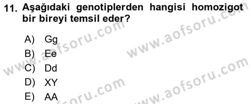 Temel Veteriner Genetik Dersi 2025 - 2026 Yılı (Vize) Ara Sınav Soruları 11. Soru