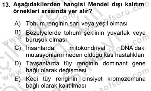 Temel Veteriner Genetik Dersi 2025 - 2026 Yılı (Vize) Ara Sınav Soruları 13. Soru