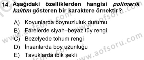 Temel Veteriner Genetik Dersi 2025 - 2026 Yılı (Vize) Ara Sınav Soruları 14. Soru