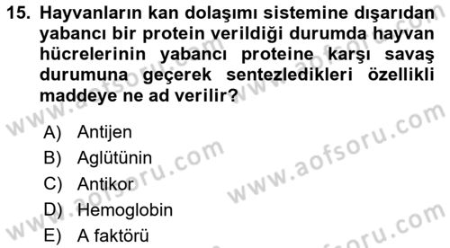 Temel Veteriner Genetik Dersi 2025 - 2026 Yılı (Vize) Ara Sınav Soruları 15. Soru