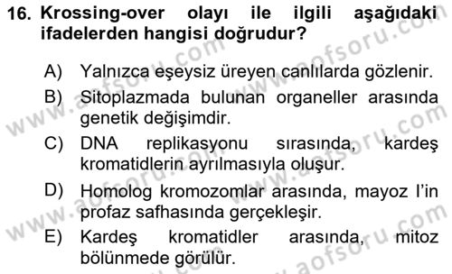 Temel Veteriner Genetik Dersi 2025 - 2026 Yılı (Vize) Ara Sınav Soruları 16. Soru