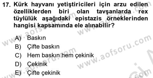 Temel Veteriner Genetik Dersi 2025 - 2026 Yılı (Vize) Ara Sınav Soruları 17. Soru