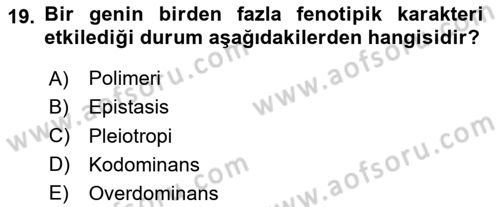 Temel Veteriner Genetik Dersi 2025 - 2026 Yılı (Vize) Ara Sınav Soruları 19. Soru