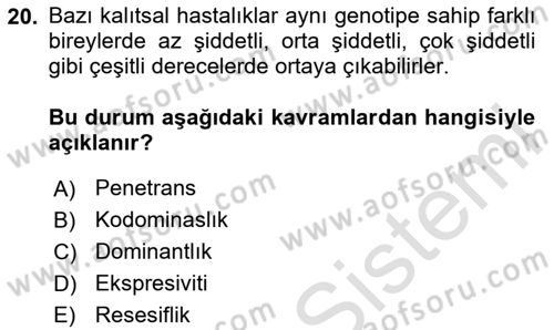 Temel Veteriner Genetik Dersi 2025 - 2026 Yılı (Vize) Ara Sınav Soruları 20. Soru