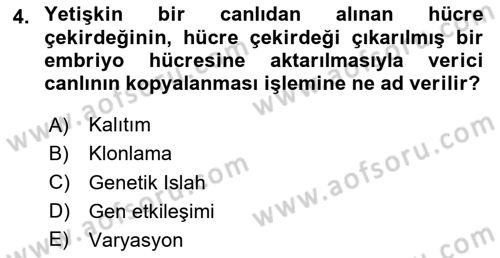 Temel Veteriner Genetik Dersi 2025 - 2026 Yılı (Vize) Ara Sınav Soruları 4. Soru