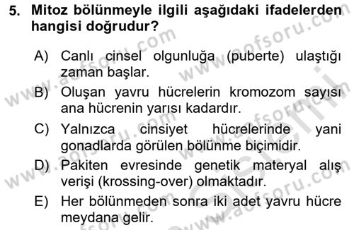 Temel Veteriner Genetik Dersi 2025 - 2026 Yılı (Vize) Ara Sınav Soruları 5. Soru