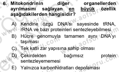 Temel Veteriner Genetik Dersi 2025 - 2026 Yılı (Vize) Ara Sınav Soruları 6. Soru