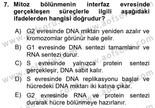 Temel Veteriner Genetik Dersi 2025 - 2026 Yılı (Vize) Ara Sınav Soruları 7. Soru