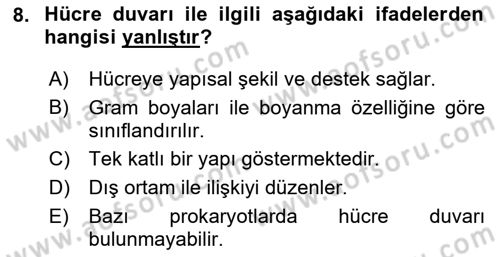 Temel Veteriner Genetik Dersi 2025 - 2026 Yılı (Vize) Ara Sınav Soruları 8. Soru