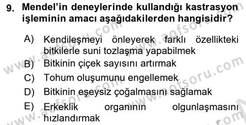 Temel Veteriner Genetik Dersi 2025 - 2026 Yılı (Vize) Ara Sınav Soruları 9. Soru