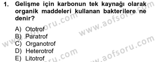 Temel Veteriner Mikrobiyoloji ve İmmünoloji Dersi 2012 - 2013 Yılı (Vize) Ara Sınav Soruları 1. Soru