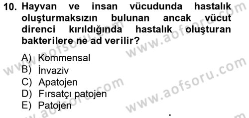 Temel Veteriner Mikrobiyoloji ve İmmünoloji Dersi 2012 - 2013 Yılı (Vize) Ara Sınav Soruları 10. Soru