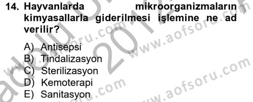 Temel Veteriner Mikrobiyoloji ve İmmünoloji Dersi 2012 - 2013 Yılı (Vize) Ara Sınav Soruları 14. Soru