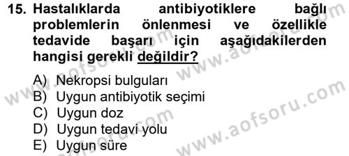 Temel Veteriner Mikrobiyoloji ve İmmünoloji Dersi 2012 - 2013 Yılı (Vize) Ara Sınav Soruları 15. Soru